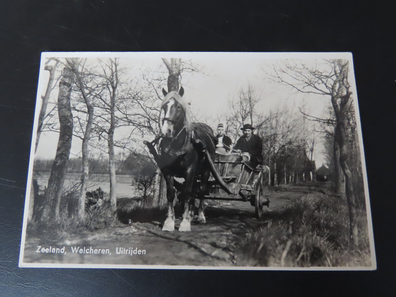 Walcheren naar de markt