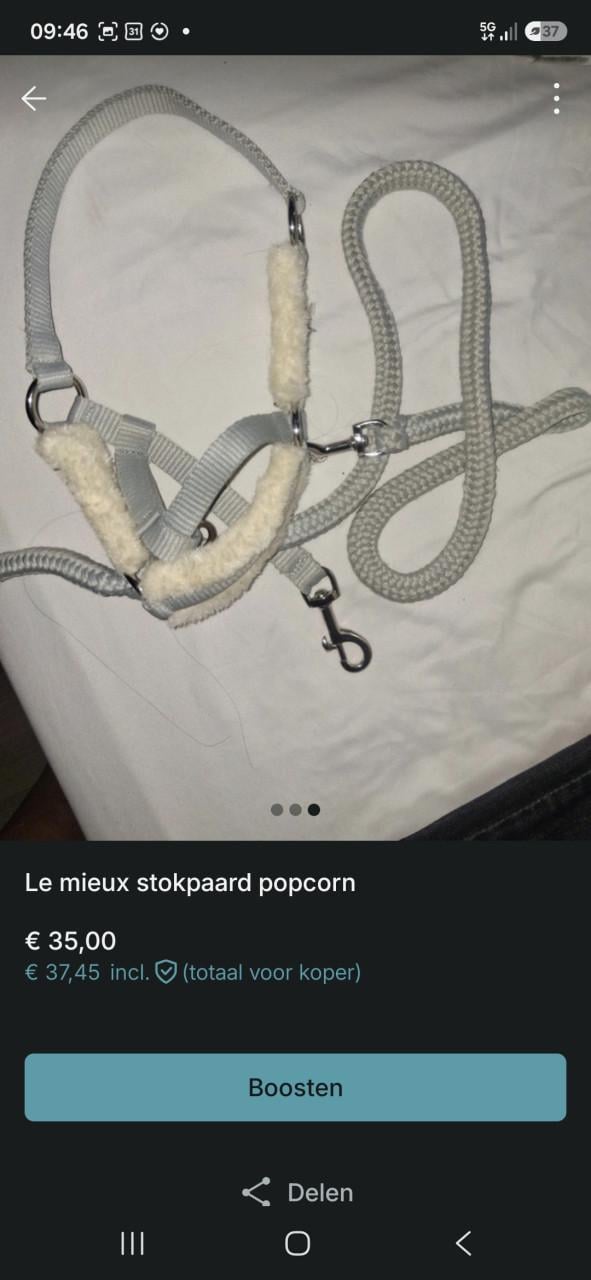 Les Mieux stokpaard popcorn met halster en doos zgan