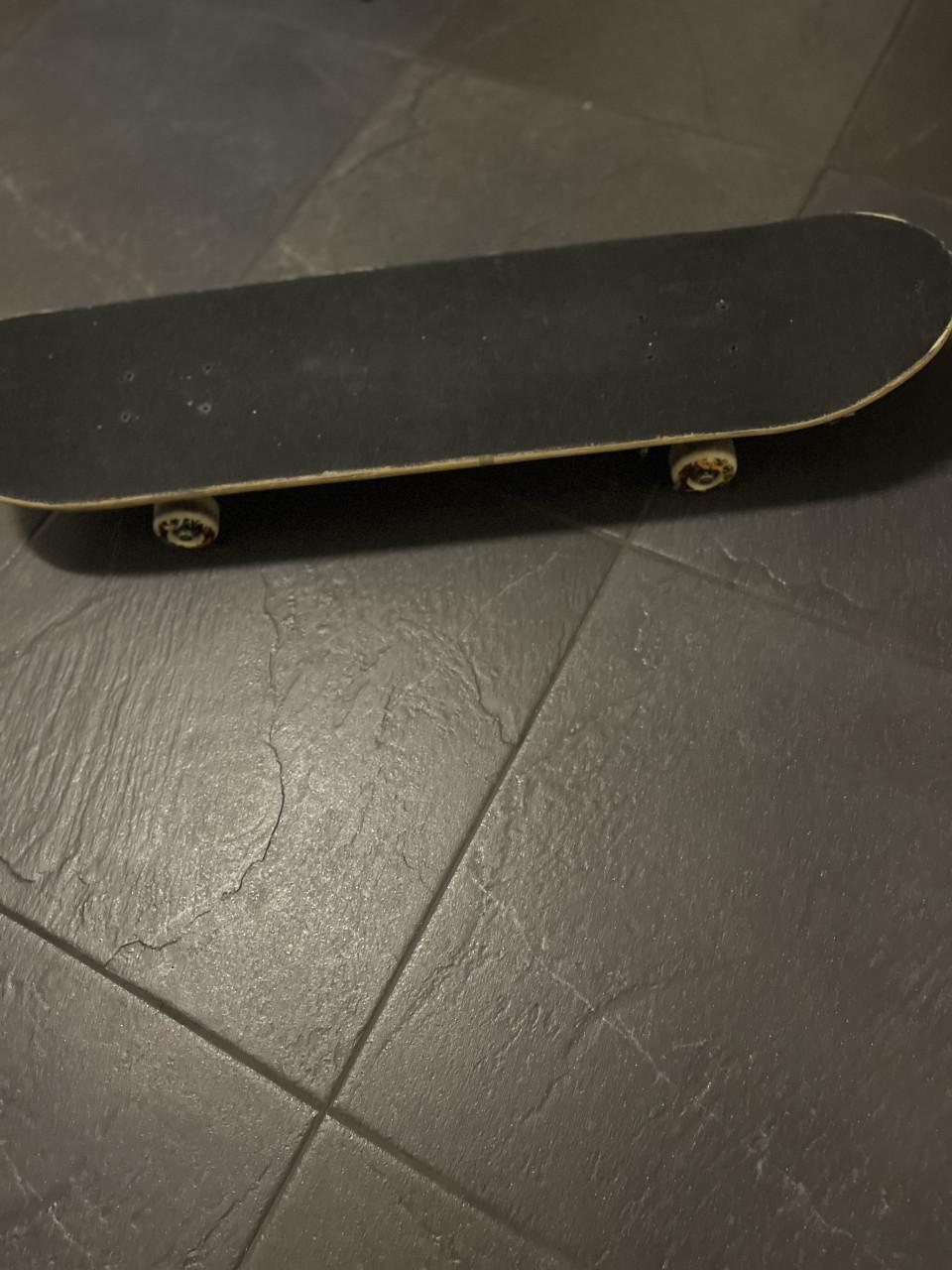 Skatebord