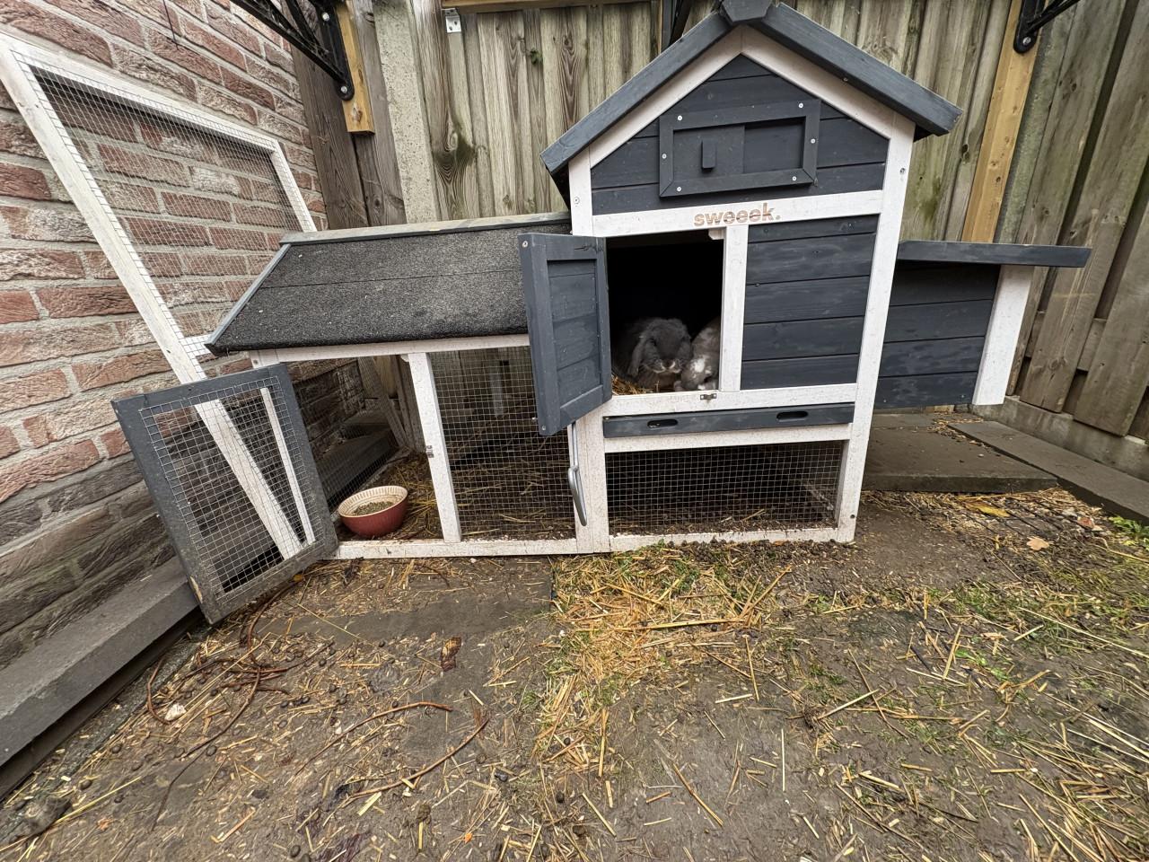 Lief geholpen koppeltje dwergkonijnen incl hok en toebehoren
