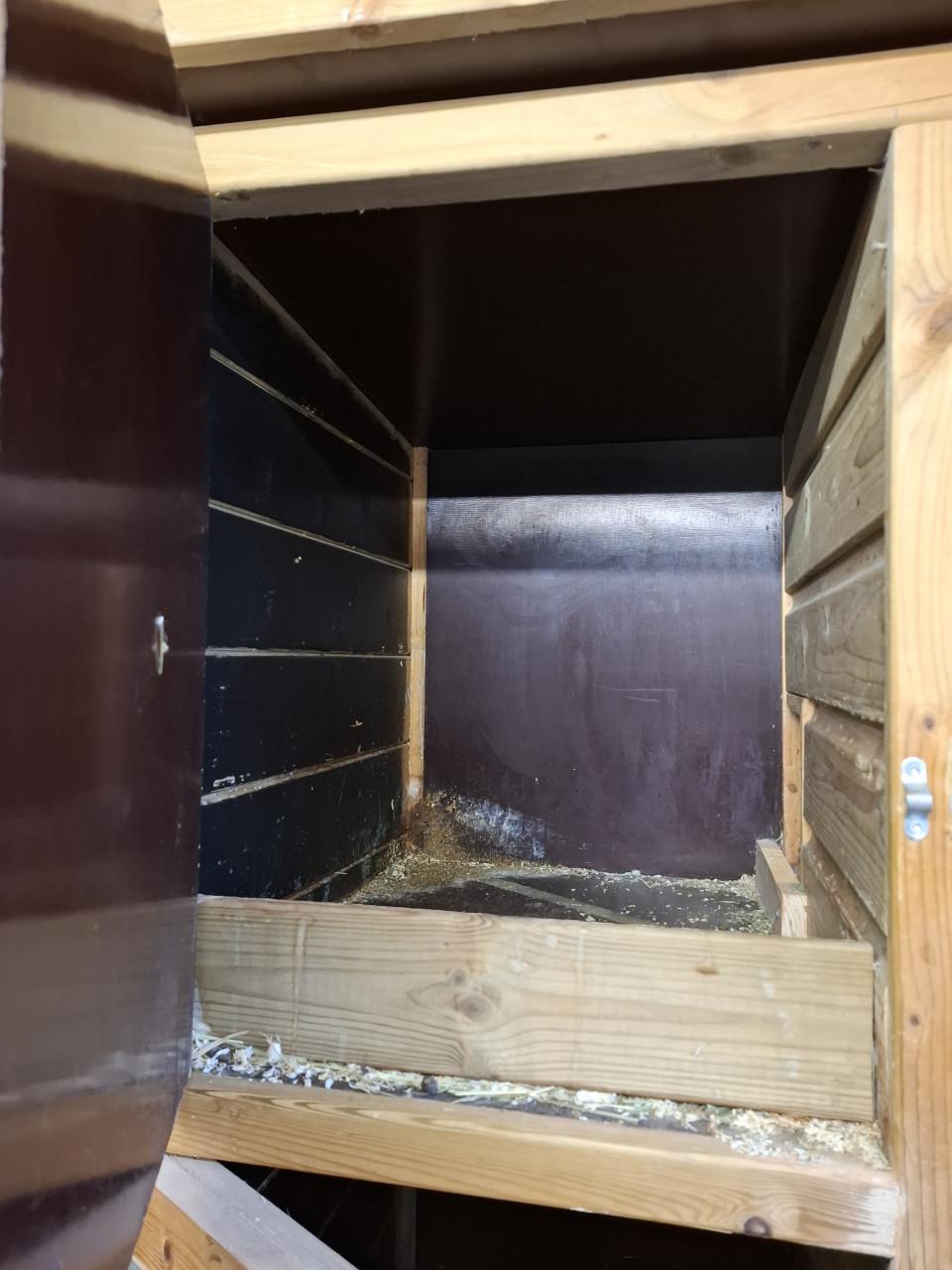Konijnenflat ( of cavia)