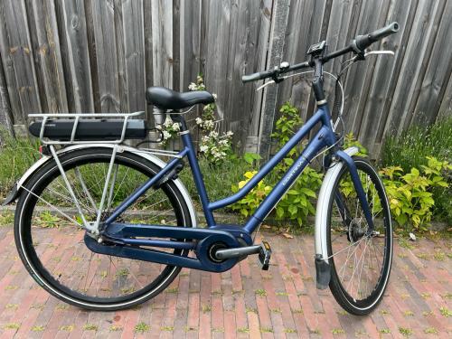 Cortina Speed Shimano Steps middenmotor