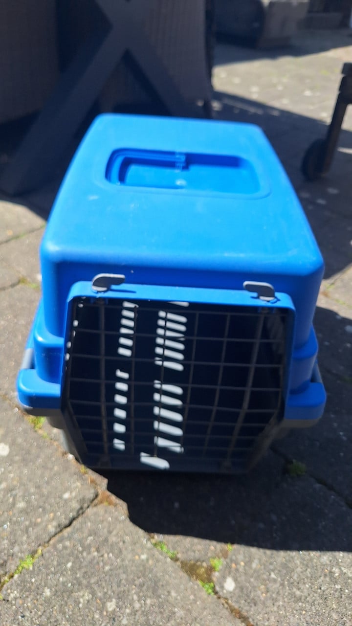 Katten reismand