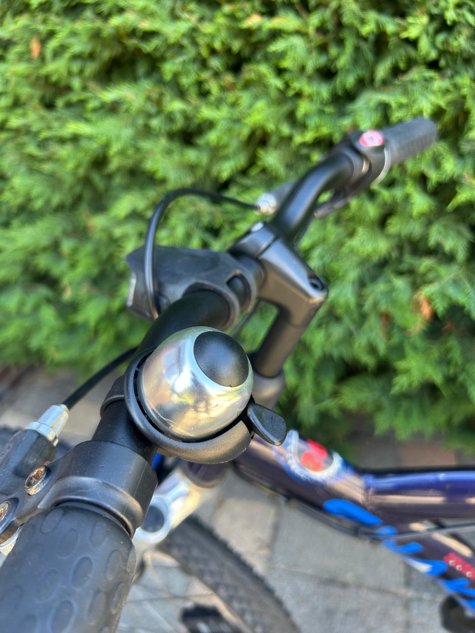 Batavus snake 26inch