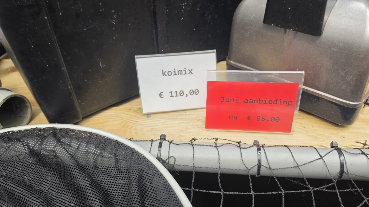 Mooi koi actie