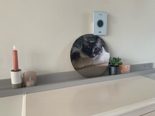 Wandplank van het metk Woood