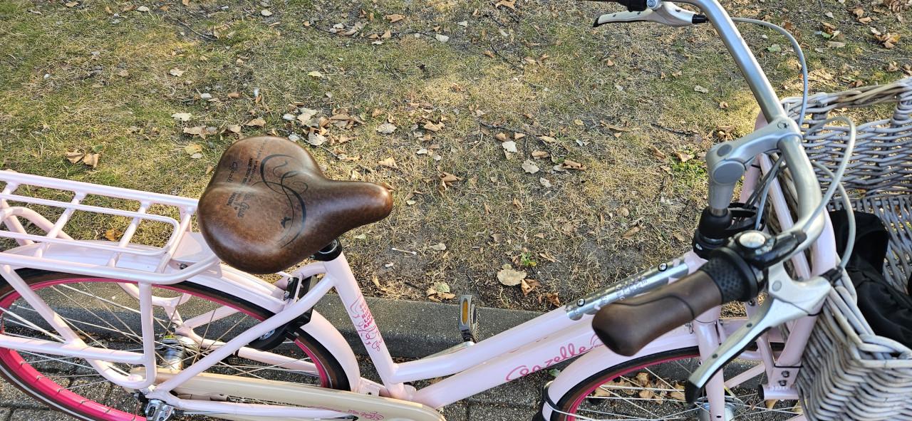 Gazelle Miss Grace Unieke Roze damesfiets
