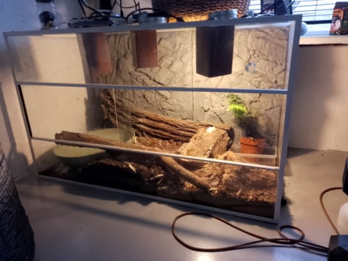 Terrarium