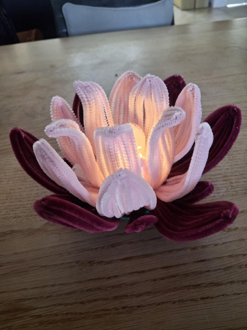 Leuk moederdag kado! Waterlelie met verlichting.