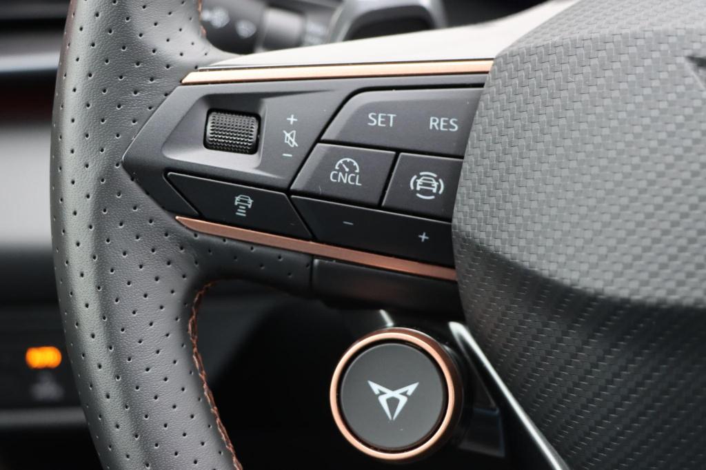 Cupra Terramar 1.5 tsi e-hybrid business 204pk dsg6