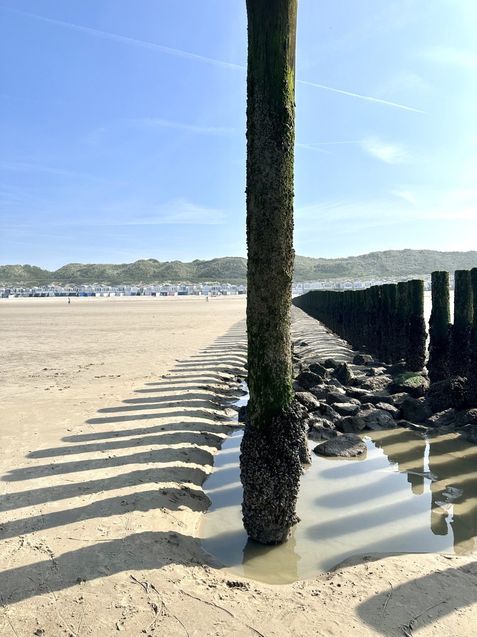 Strandhuisje te huur