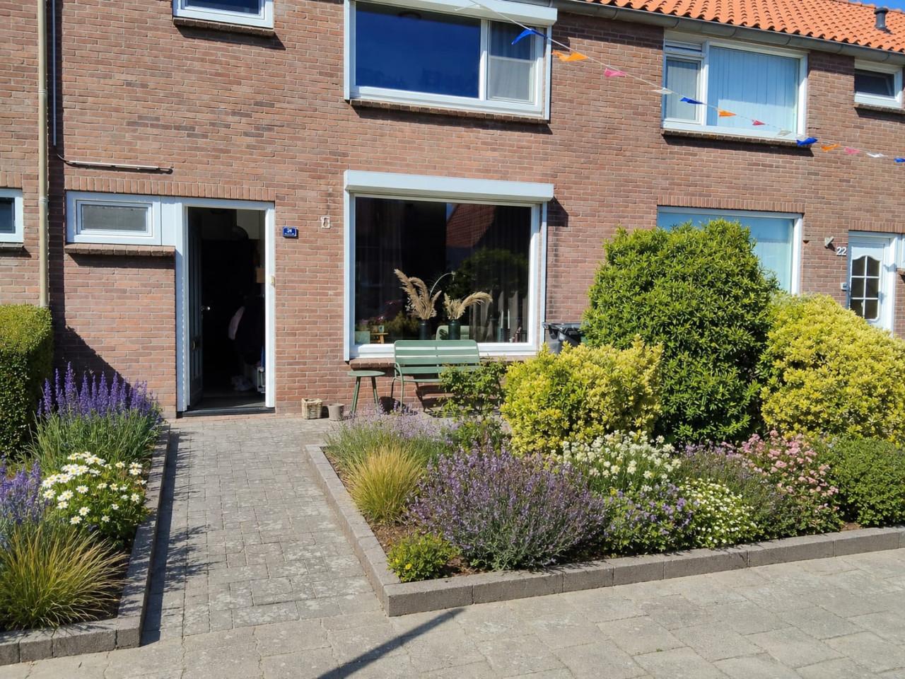 Tuin aanpakker gezocht voor 2 tuinen