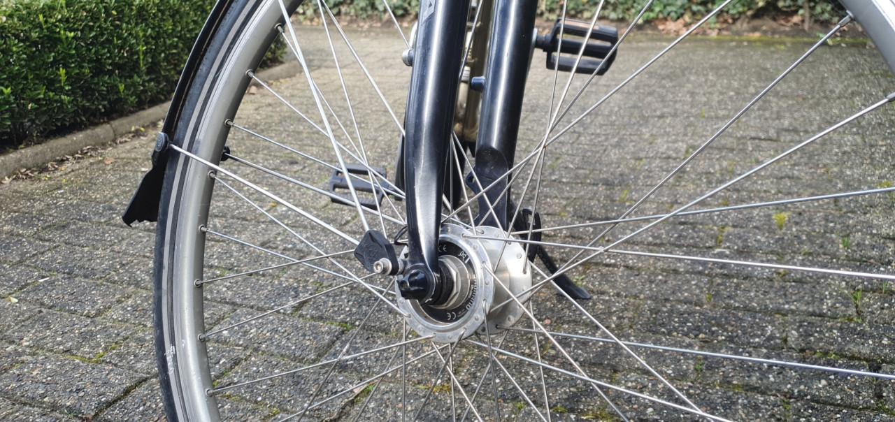 Koga Miyata Prominence