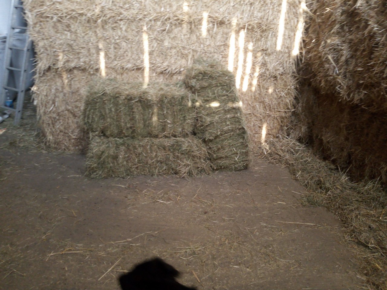 Weidehooi hooi gras stro kleinebaaltjes