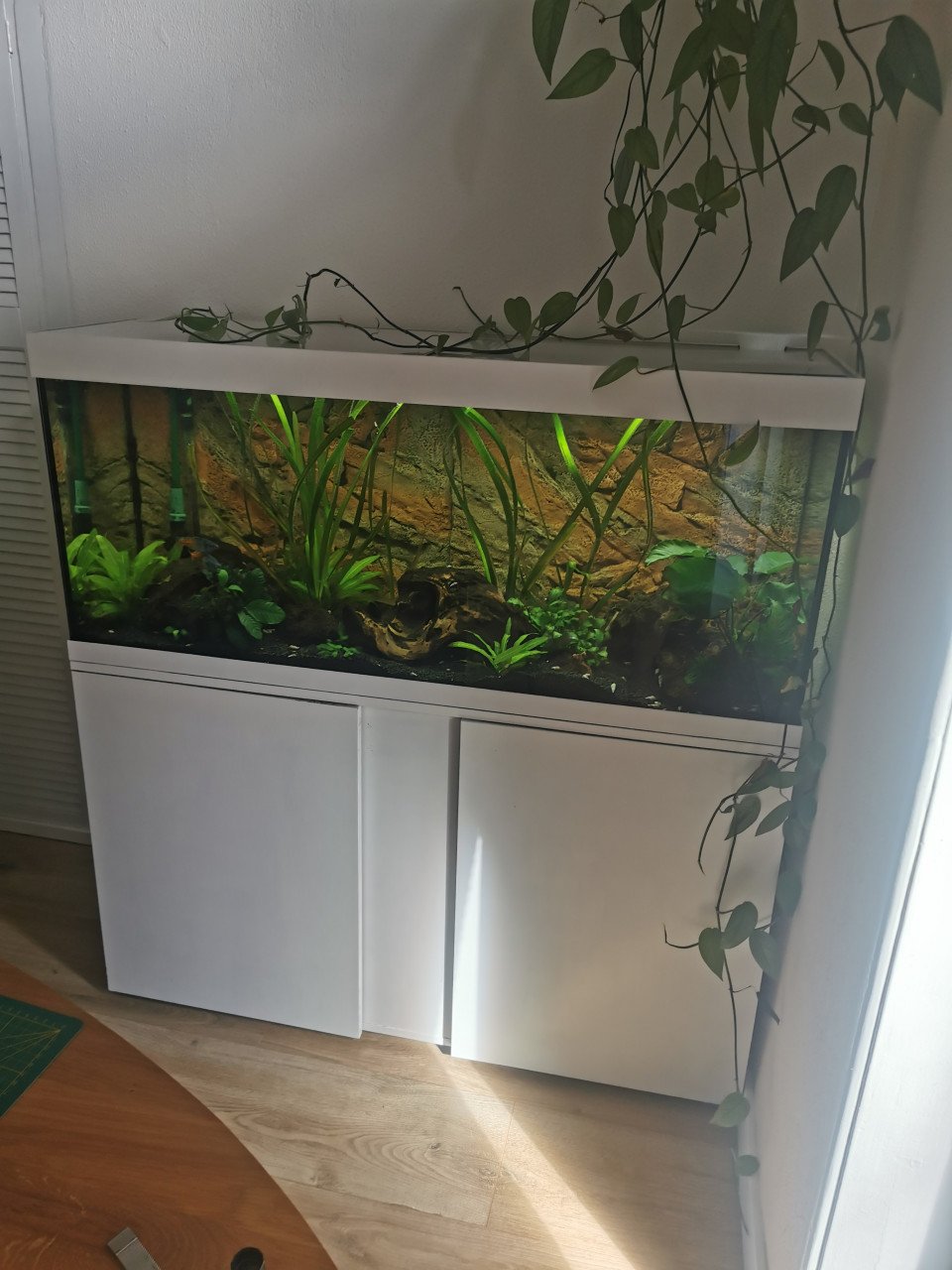 Compleet aquarium