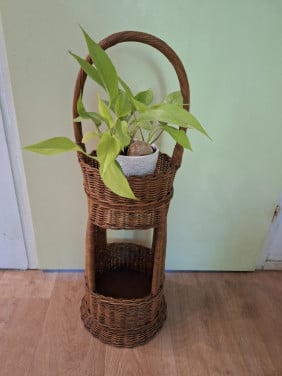 Vintage rotan plantebak