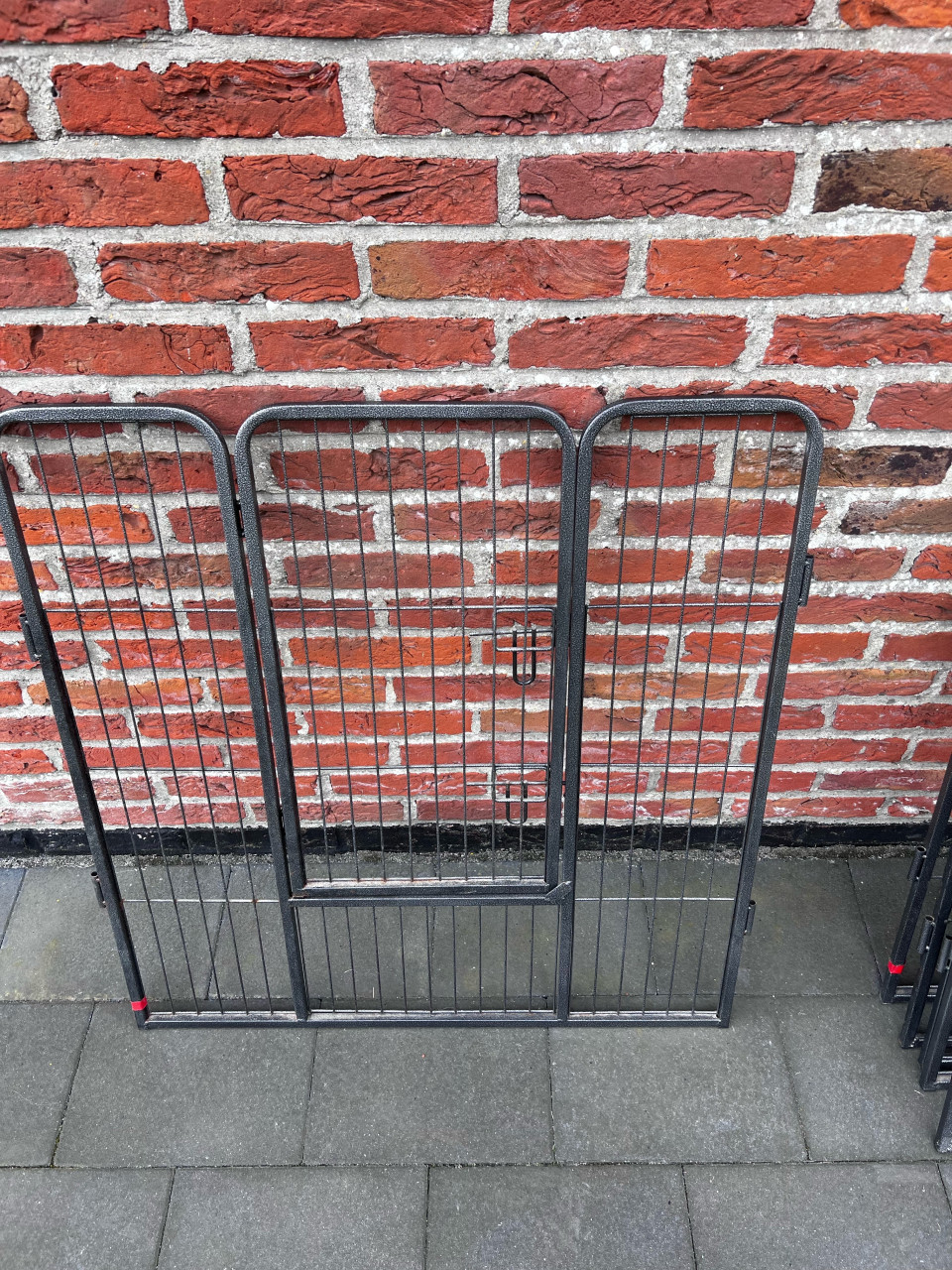 Puppyren 80 cm hoog