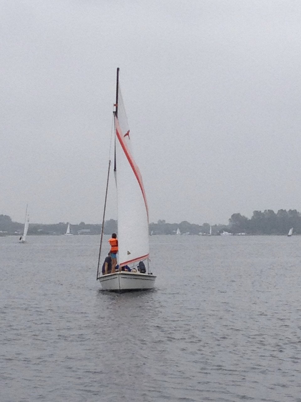 Mooie polyvalk (eventueel met zomerligplaats Oostwatering tot oktober)