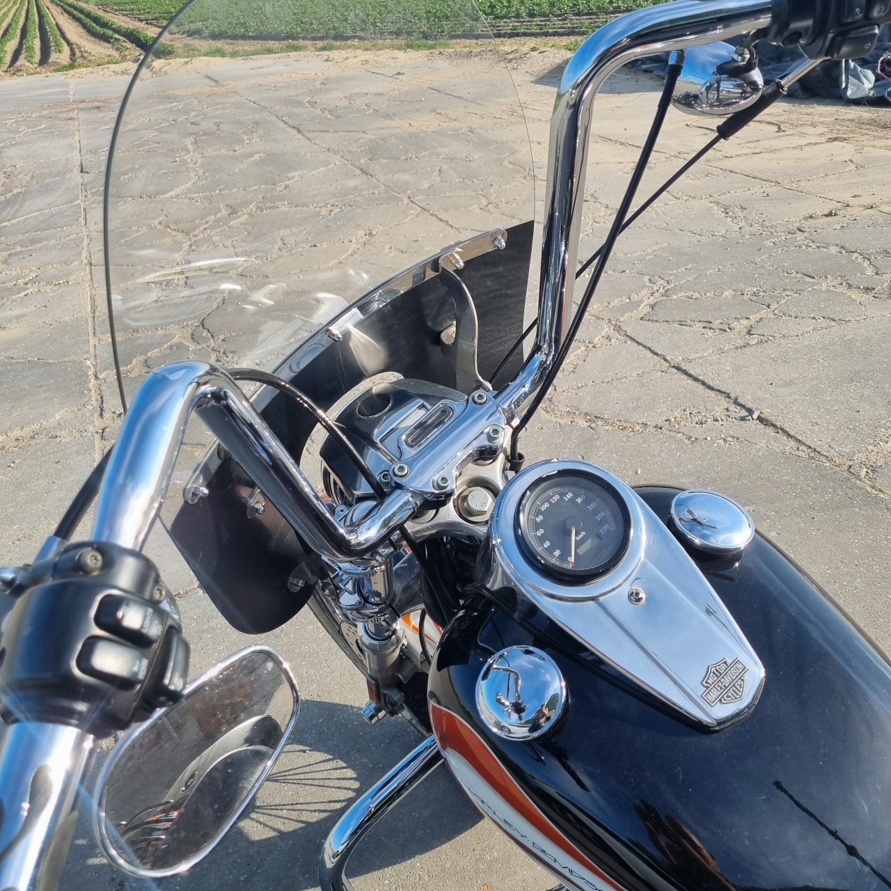 Windscherm Harley Davidson Sportster