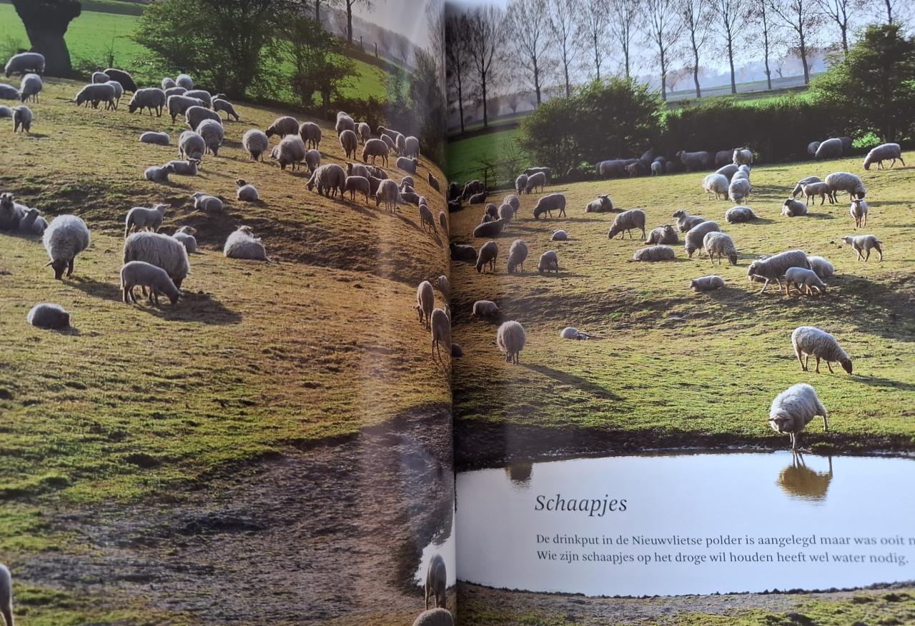 Zeeland belicht 3x), door Jan van Damme, fotografie Ruden Riemens