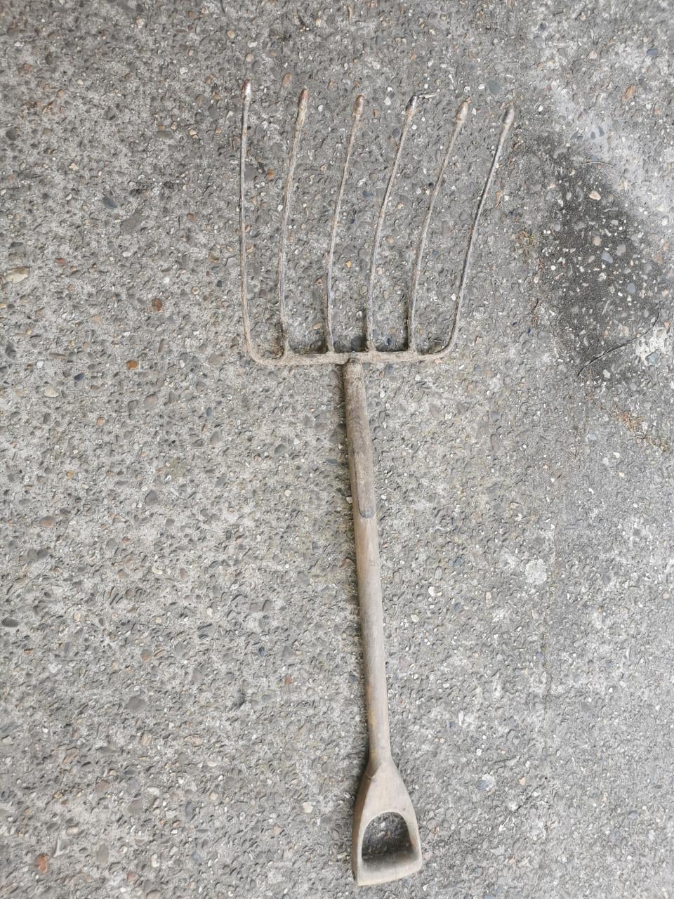 Bietenriek