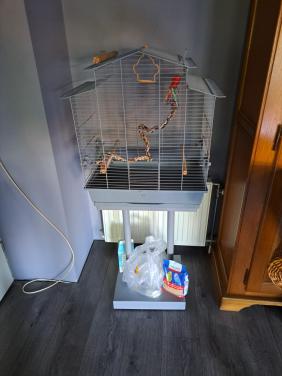 Vogelkooi op voet