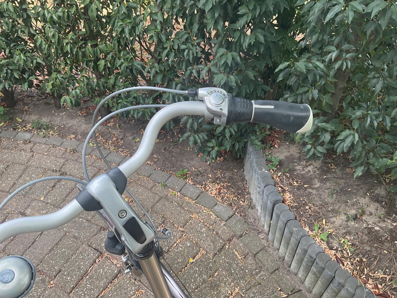 Batavus intermezzo