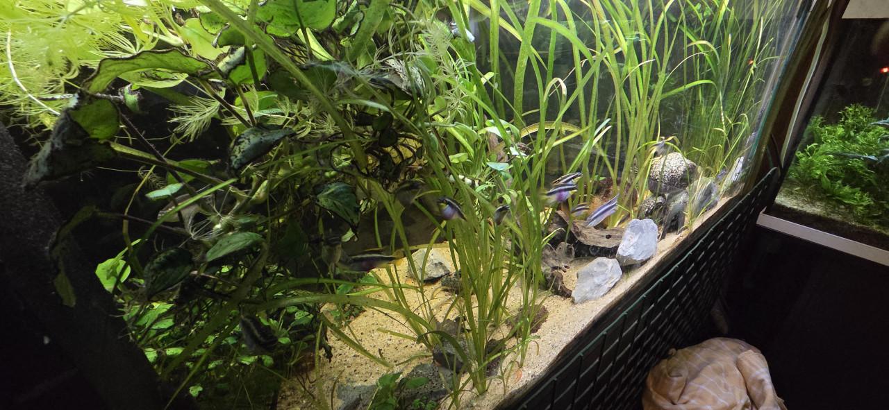 Aquarium