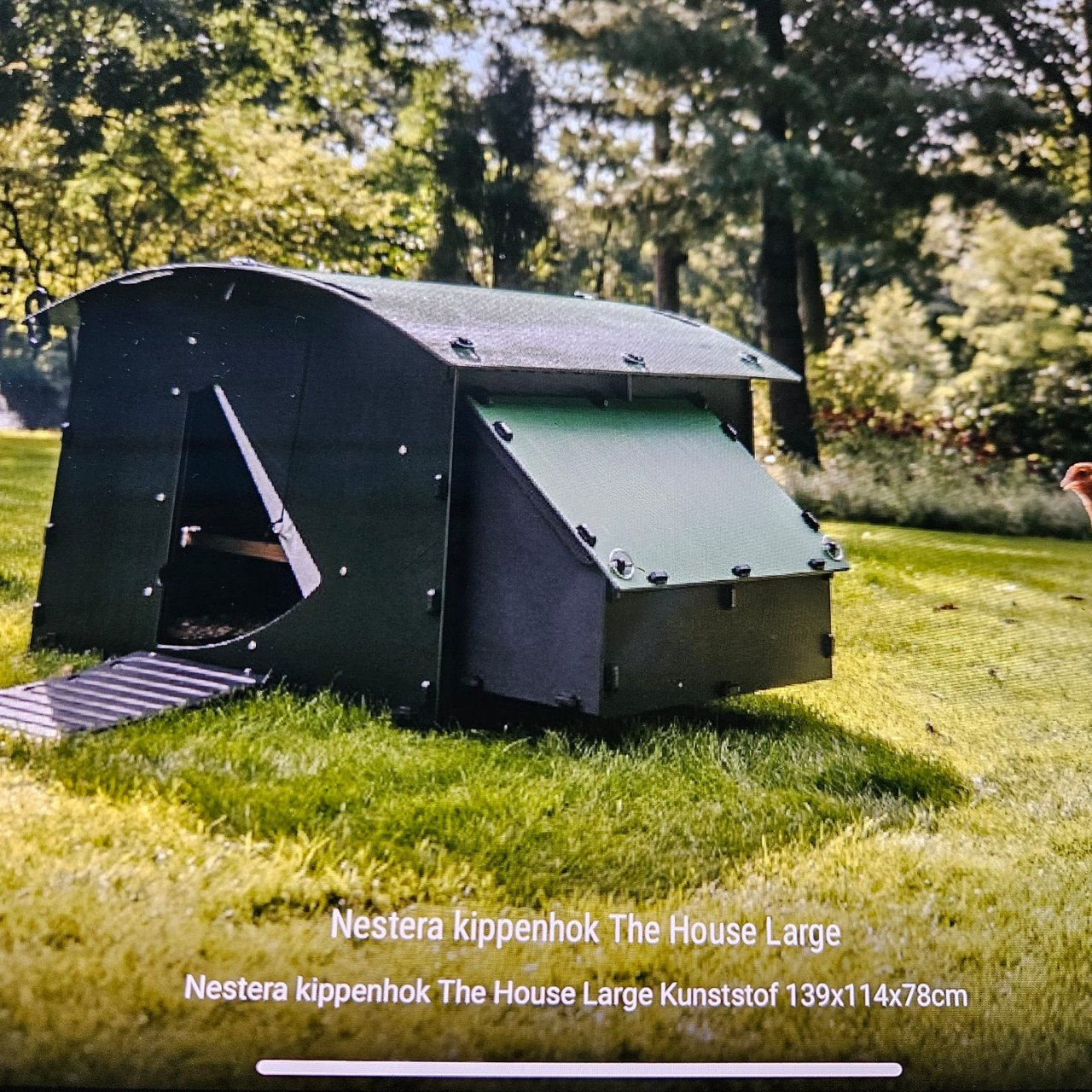 Kippenhok Nestera large