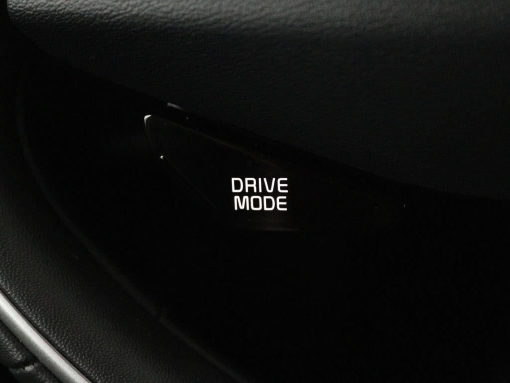 Kia Niro Ev dynamicline 64.8 kwh | soh 99,5% | apple carplay/android auto |