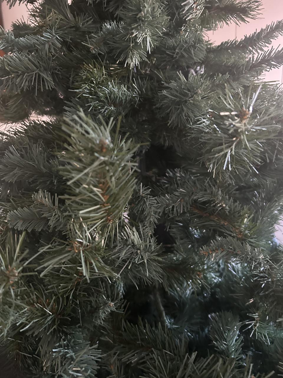 Kerstboom ong 2 meter.