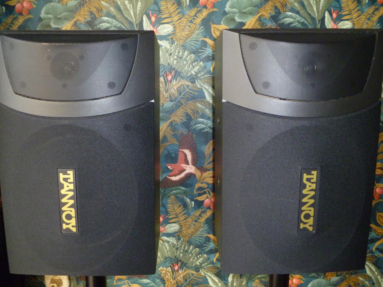 Tannoy boxen