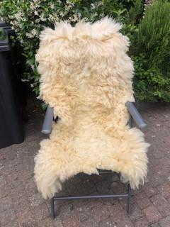 Tuin, Vijver en terras