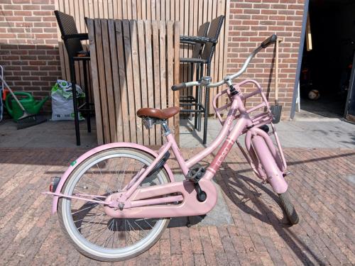 Meisjes fiets
