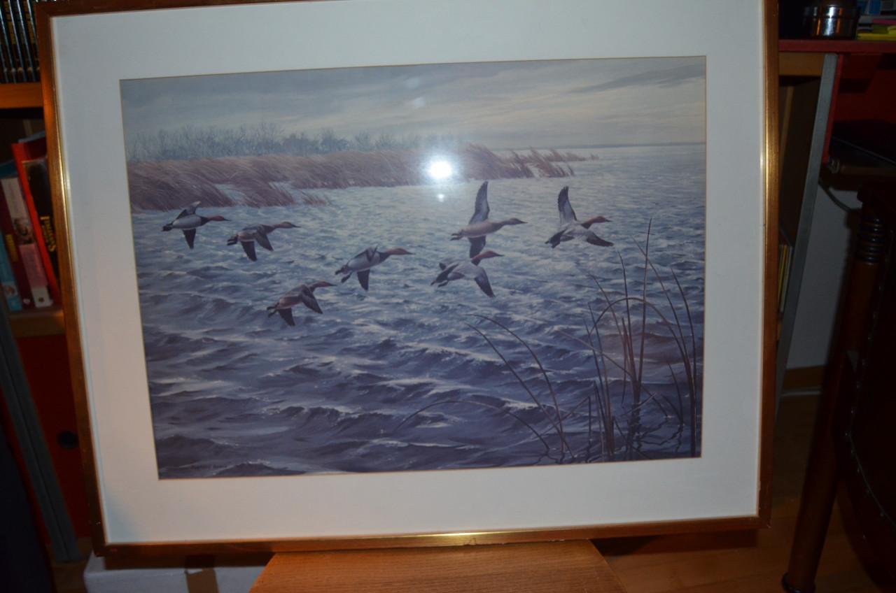 Maynard Reece art-print 1972 Eenden in zeer goede staat