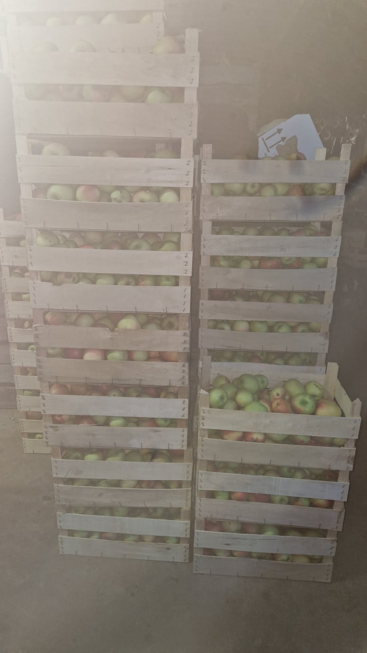 Appels delcorf!