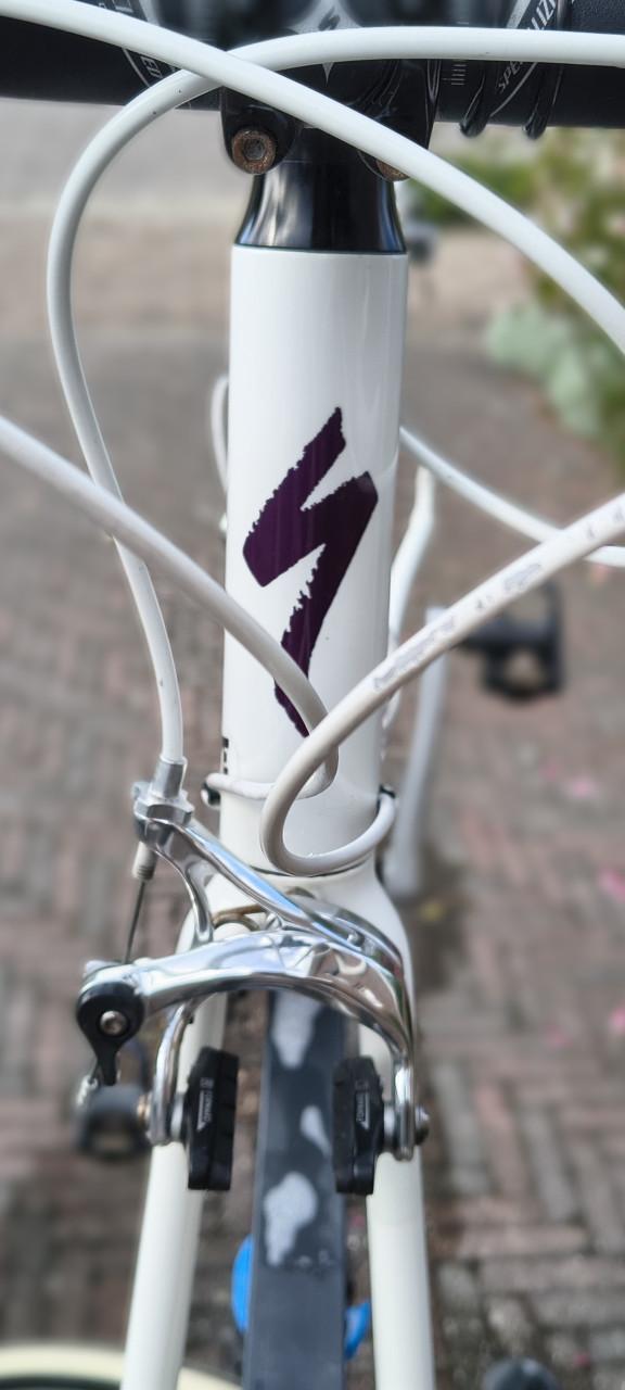 Specialized Dolce sport dames racefiets