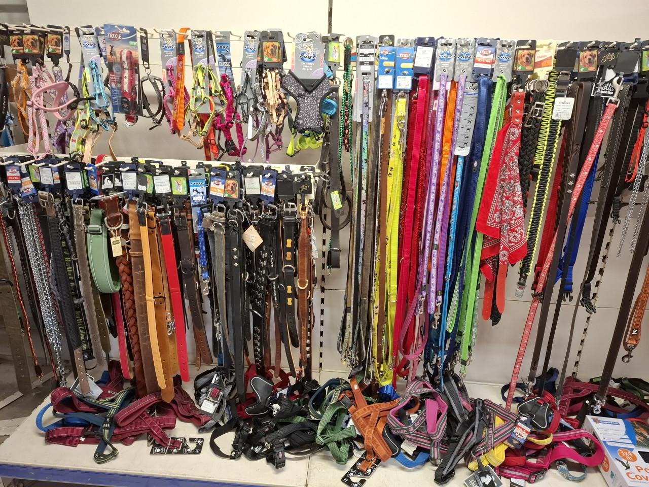 50% korting op alle hondenriemen, halsbanden, tuigjes, jasjes