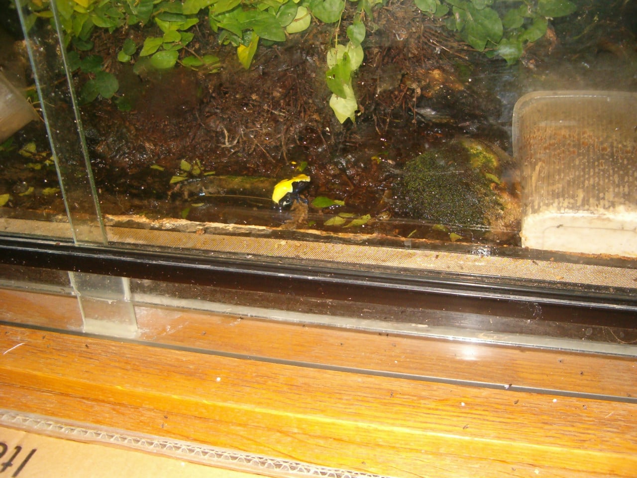 Terrarium L 86 cm Hoog 30 cm Diep 45 cm