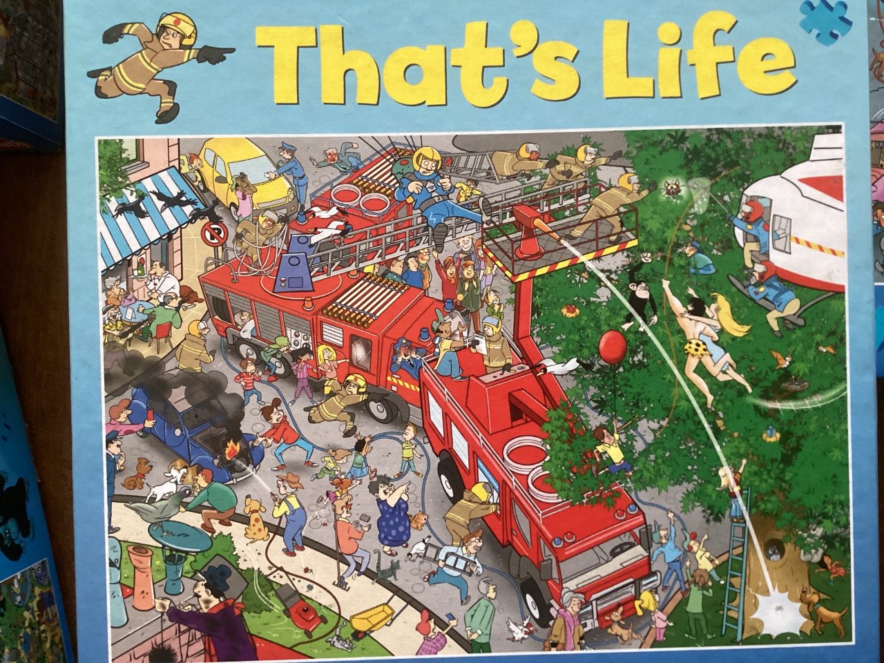 Diverse leuke puzzels van That’s Life. 1000 st.