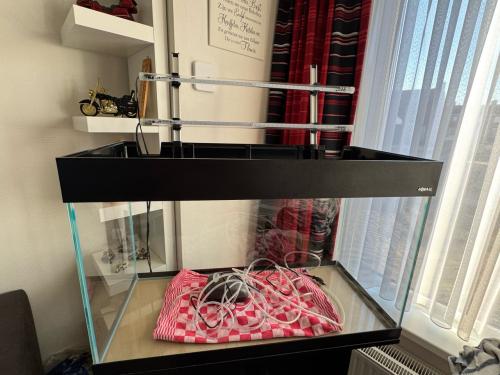 Aquarium en toebehoren