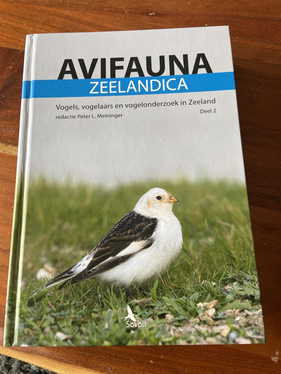 Avifauna zeelandica
