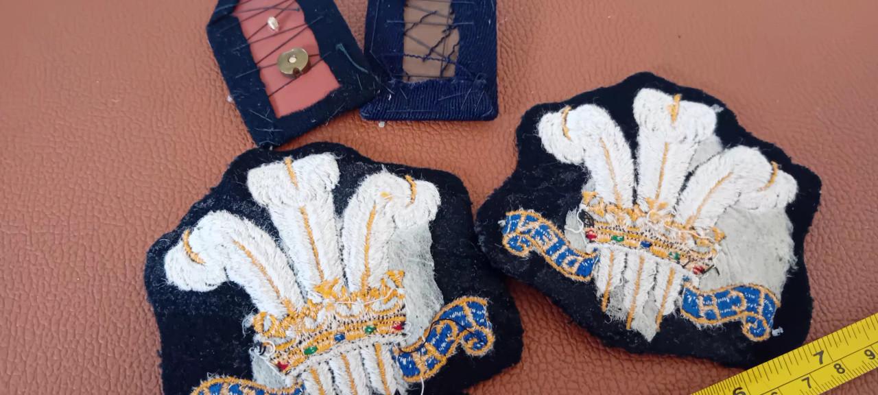 Britse Emblemen en insignes