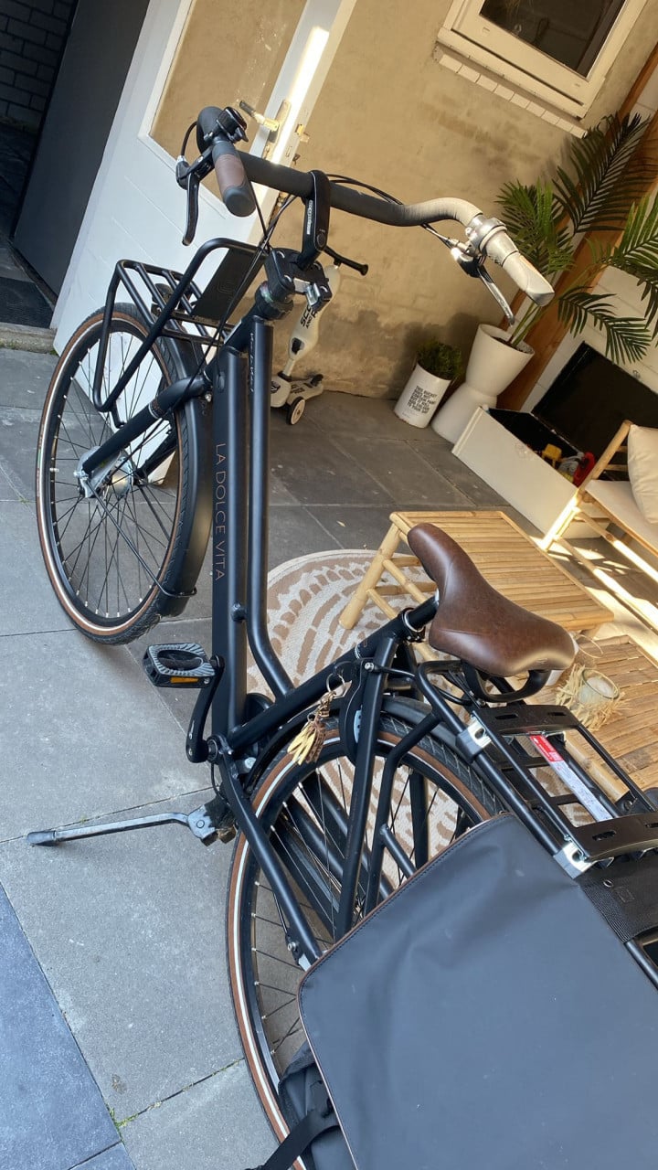 Zwarte mama fiets z.g.a.n.