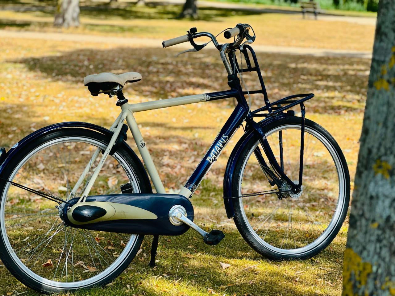 Batavus herenfiets 28inch - 3 versnellingen
