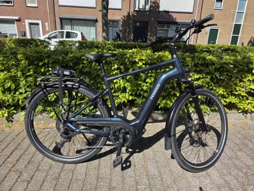 Pegasus elektrische heren fiets met Bosch Performance motor en 750wh accu