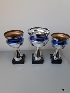 Mooie bekers in goede staat voor een clubkampioen!