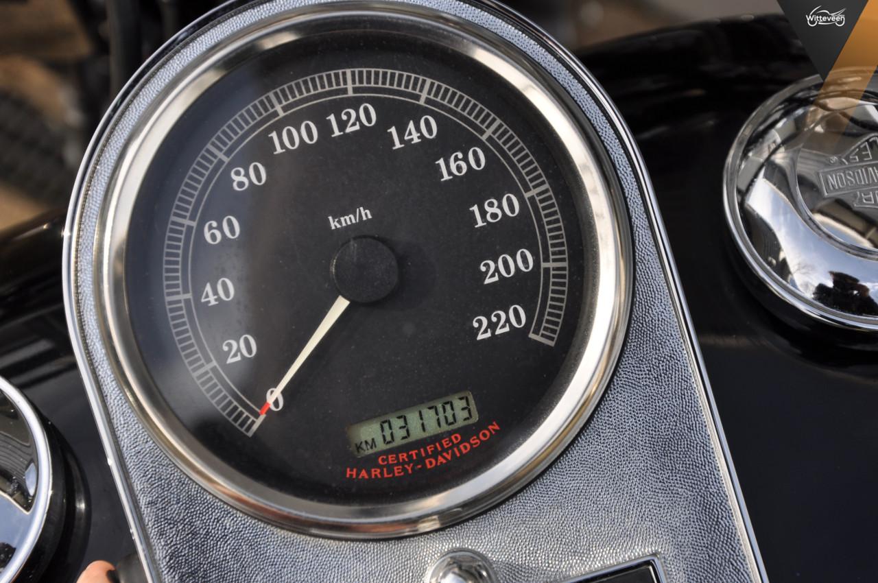 Harley Davidson FLSTC Heritage Classic Jekill & Hide