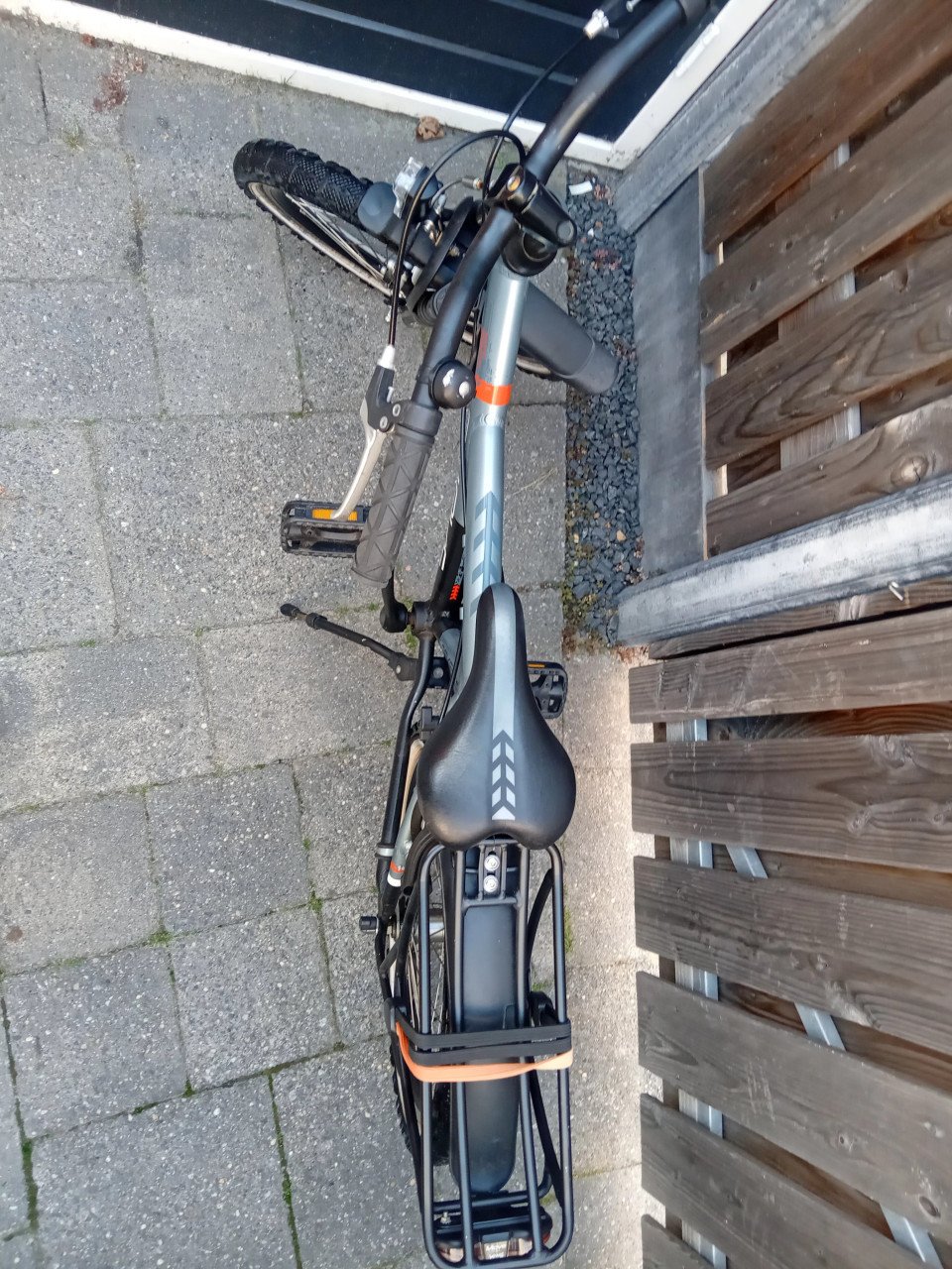 Batavus snake 20 inch
