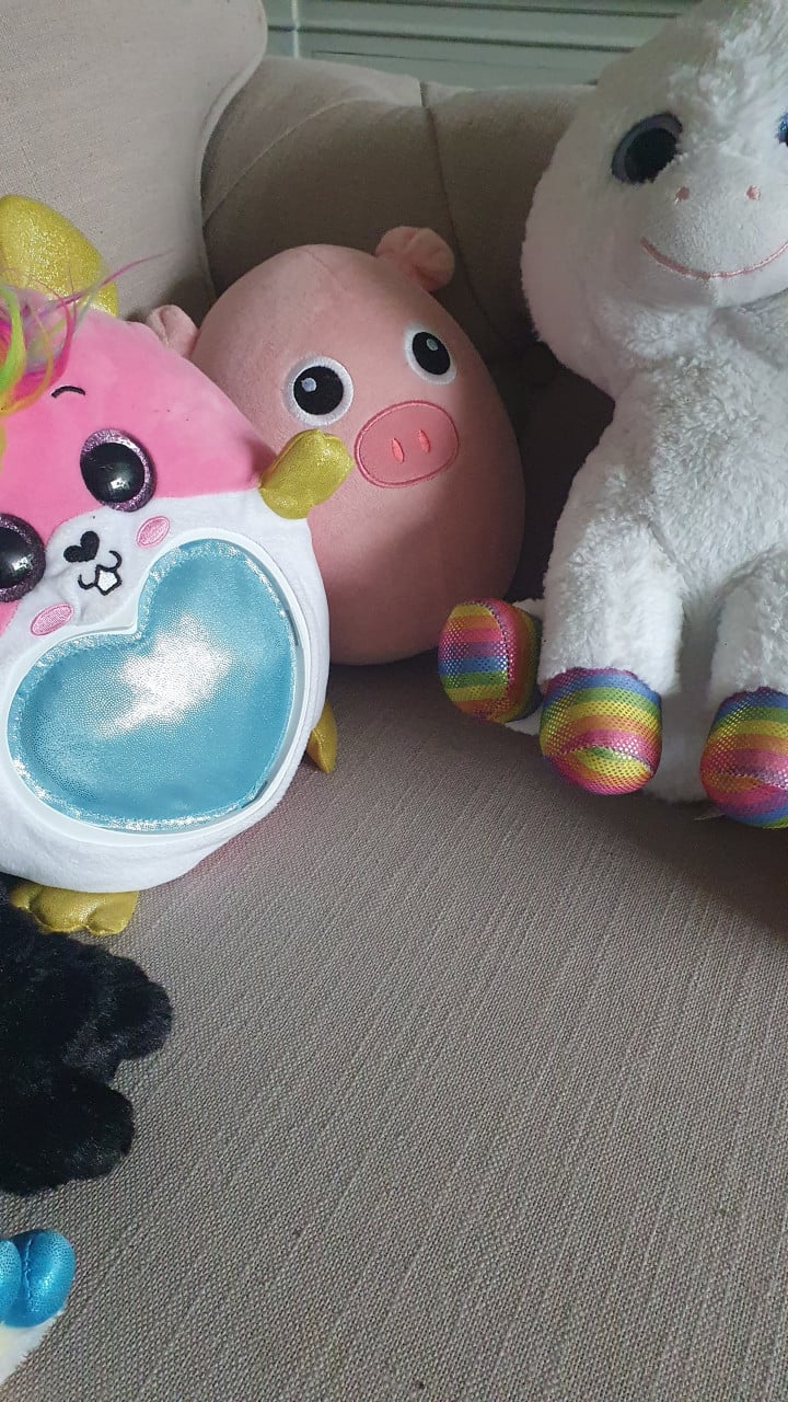 Ty knuffels